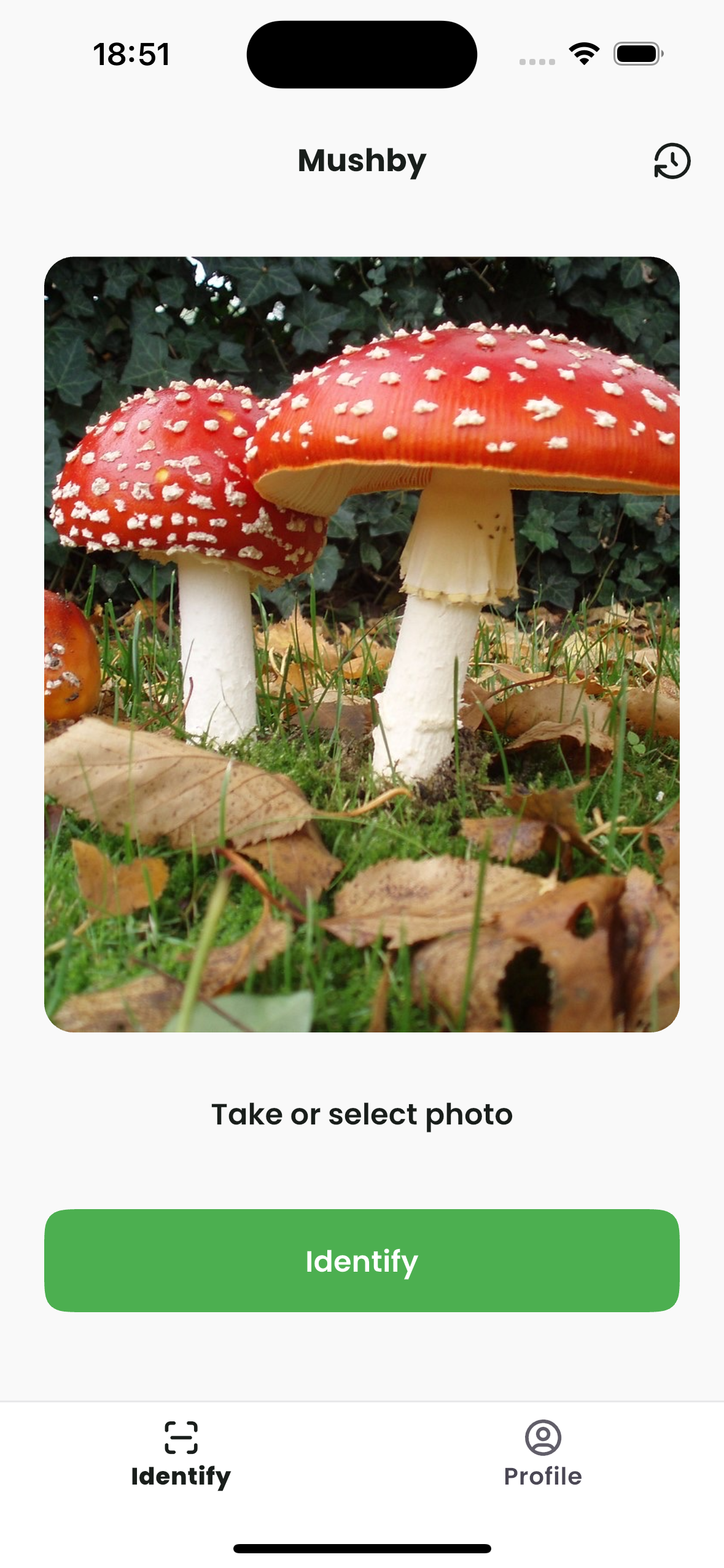 Mushby Mushroom Identifier